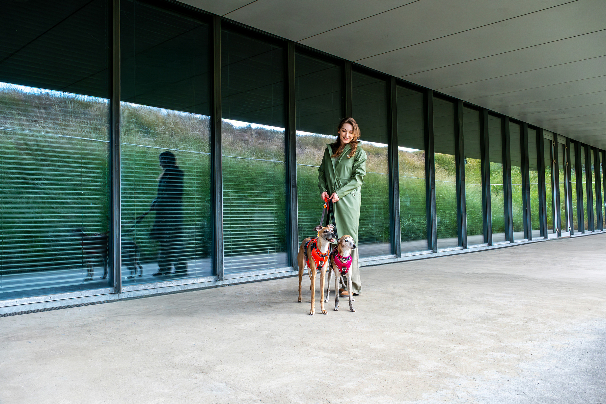 Tierbedarf WOLTERS cat & dog GmbH